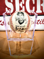 Bernie Williams Fotoball image 0