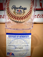 Bernie Williams Signed OMLB - Yankees image 1