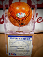 Bernie Williams MiLB Clippers Baseball image 2